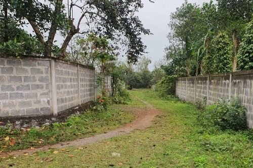 Xin lỗi người dân vì đường bê tông đang tốt vẫn cán nhựa cho gia đình cán bộ đi