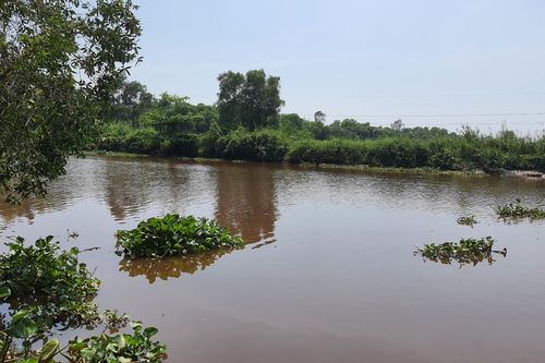 Phát hiện 2 mẹ con tử vong thương tâm dưới kênh ở TPHCM