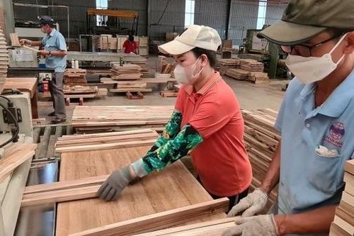 Doanh nghiệp nhỏ và vừa đã có bước trưởng thành đáng kể về chuyển đổi số