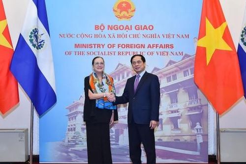 Định vị quan hệ, tăng cường hợp tác Việt Nam-El Salvador