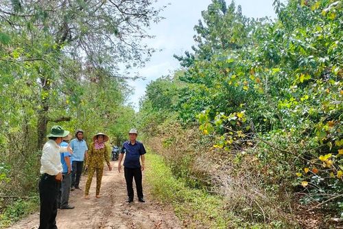 Dự án đê biển Tây Cà Mau chưa thông tuyến