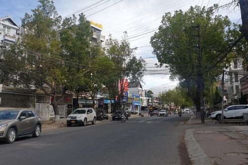 Đà Lạt nâng cấp tuyến đường 2,5 km dự kiến gần 250 tỷ đồng
