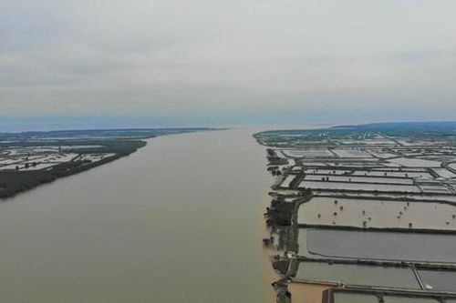 Sông Hồng ký sự - Kỳ 14: Cửa Ba Lạt - phì nhiêu và trù phú