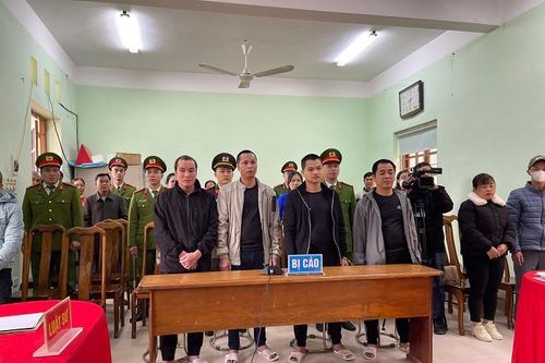 Rủ nhau vào tù vì tội trộm cắp tài sản