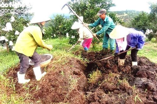 Nghệ An triển khai Dự án tuyên truyền, vận động nông dân xử lý rác thải