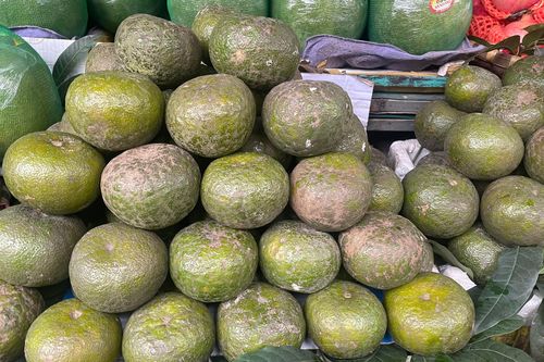 Giảm mạnh ở miền Nam, cam sành tại Hà Nội đang có giá thế nào?