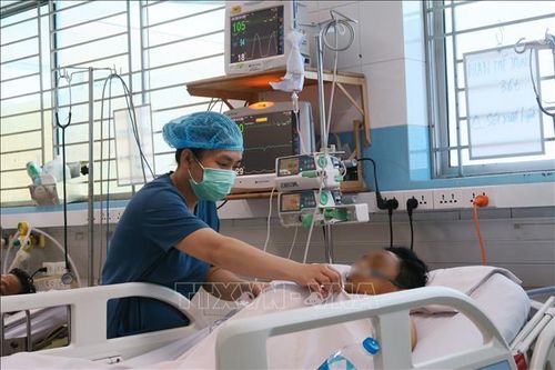 TP Hồ Chí Minh: Dịch sốt xuất huyết giảm nhưng vẫn ở mức cao