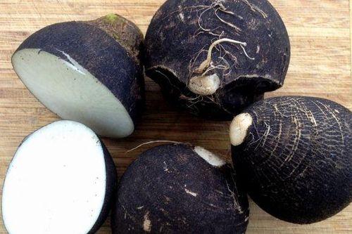 Tác dụng tuyệt vời của củ cải đen
