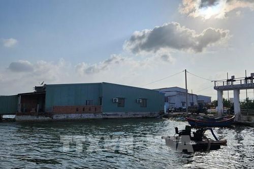 Bình Định: Liên tục xảy ra tình trạng xây dựng trái phép tại tuyến đê ngăn mặn khu Đông