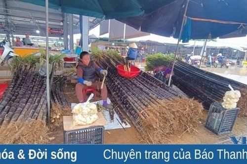 Ngọt mềm mía tím Kim Tân