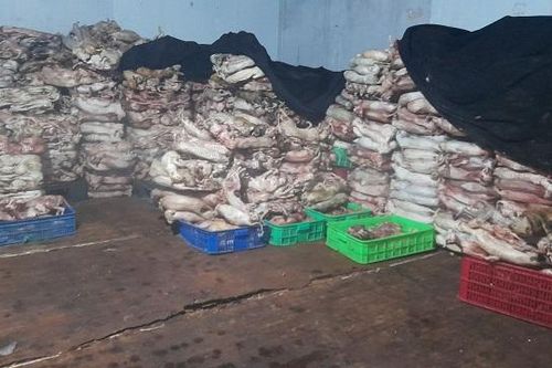 Phát hiện kho chứa 4 tấn mèo đông lạnh không rõ nguồn gốc