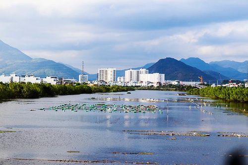 Nha Trang: Xử lý dứt điểm tình trạng thả bè, phao nhử vẹm trên sông