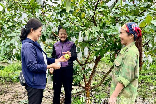 Nói cho bà con rõ, chỉ cho bà con làm
