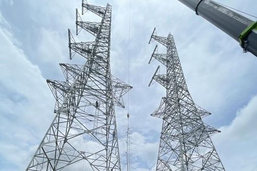 Long An: giải phóng mặt bằng dự án truyền tải điện trọng điểm