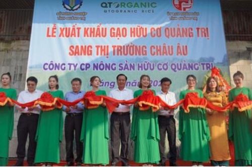 Quảng Trị: Xuất khẩu gạo hữu cơ sang thị trường châu Âu