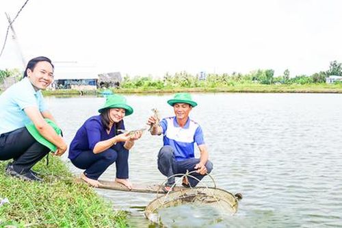 Khát vọng nâng chất nông thôn mới ở Mỹ Xuyên