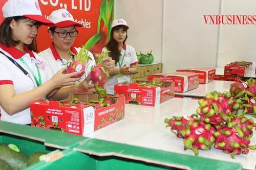 Gỡ khúc mắc bản quyền giống để tránh hệ lụy cho xuất khẩu rau quả