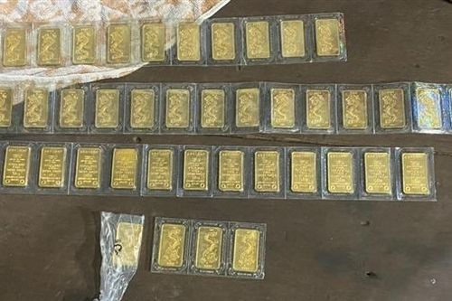 Người giúp việc trộm 47 lượng vàng của chủ nhà