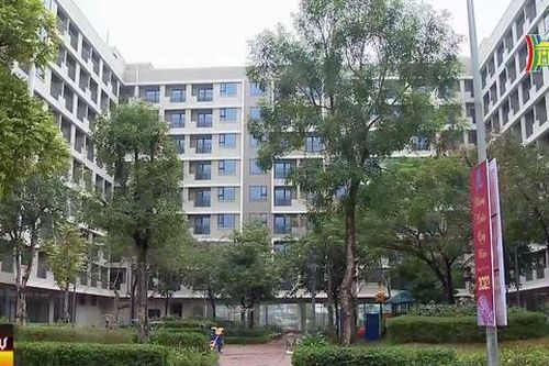 Giải bài toán bất động sản cần gắn với thực tiễn