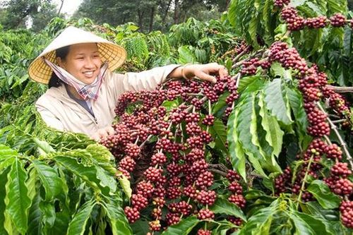Cà phê đậm chất Việt (ngày 17/02/2023)