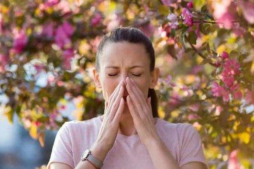 4 loại thảo dược hỗ trợ trị viêm mũi dị ứng mùa Xuân
