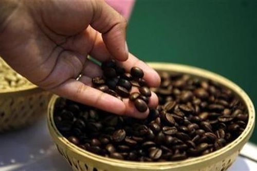 Phân loại kích cỡ và xếp loại cà phê