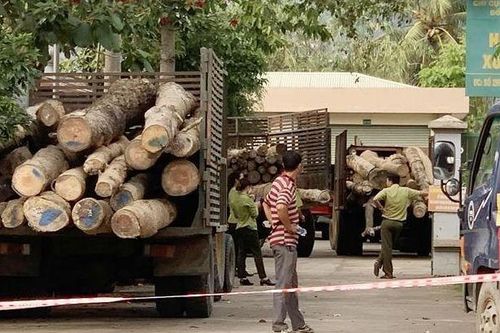 Khởi tố vụ phá rừng phòng hộ Xuân Lộc, Đồng Nai
