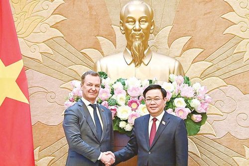 Đẩy mạnh hợp tác song phương Việt - Nga trong lĩnh vực dầu khí và năng lượng