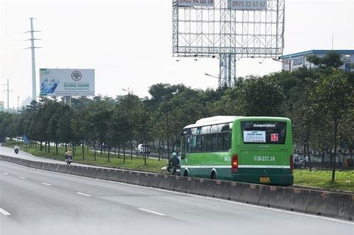 Thành phố Hồ Chí Minh: Xử phạt ba người đi bộ không đúng quy định