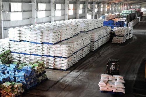Doanh nghiệp thích ứng linh hoạt để tăng trưởng