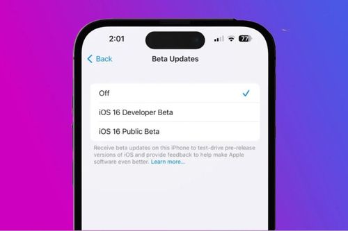 Apple không cho phép cài đặt bản beta dành cho nhà phát triển trừ khi trả 99 USD