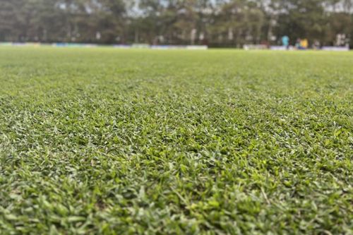 Sân tập của HAGL có cỏ xanh mượt, đẹp như tranh