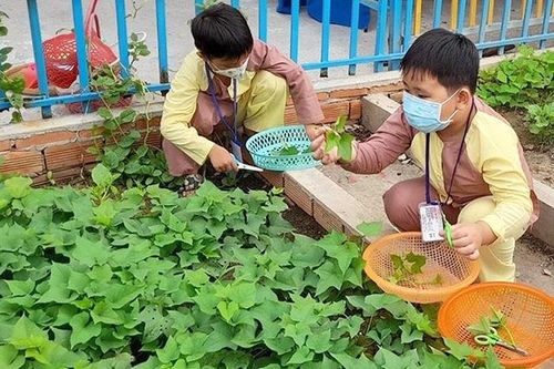 Giáo dục mầm non tiếp tục được đầu tư nguồn lực để nâng cao chất lượng