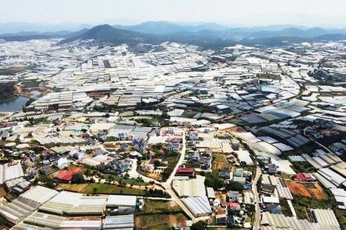 Lâm Đồng: Gần 100 ha nhà kính, nhà lưới đã bị tháo dỡ