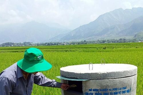 Đồng Nai: Đầu tư hơn 1.500 bể chứa bao bì thuốc bảo vệ thực vật sau sử dụng