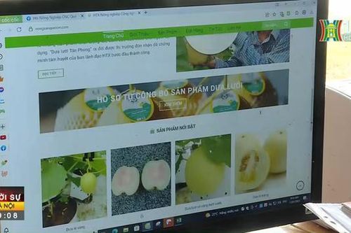 Gần 45% doanh nghiệp ngừng áp dụng chuyển đổi số