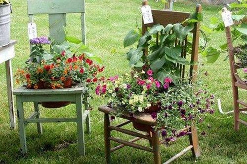 'Hô biến' ghế cũ thành... khu vườn mini cực xinh