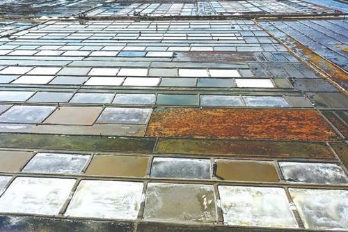 Trên cánh đồng muối Sa Huỳnh