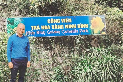 Một đời theo đuổi 'nữ hoàng trà' - Trà hoa vàng