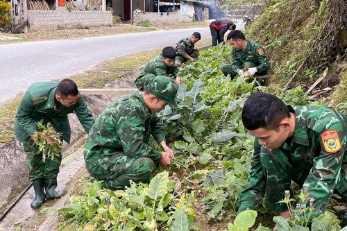 Sức sống miền biên viễn