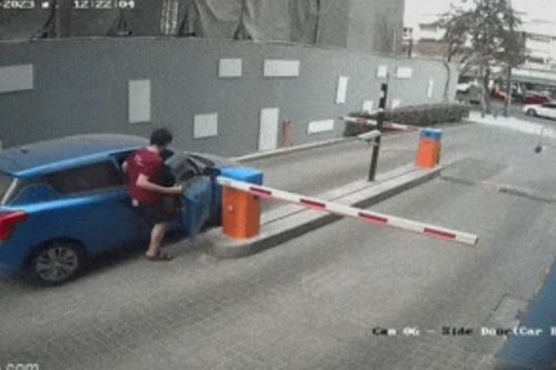 Tài xế ô tô suýt gặp họa lớn vì sai lầm 'ngớ ngẩn'