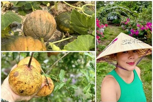Khu vườn 'đi mỏi chân' giữa Sài thành của ca sĩ Mỹ Lệ