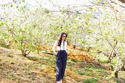 Đạ Chais trắng tinh khôi mùa hoa mận