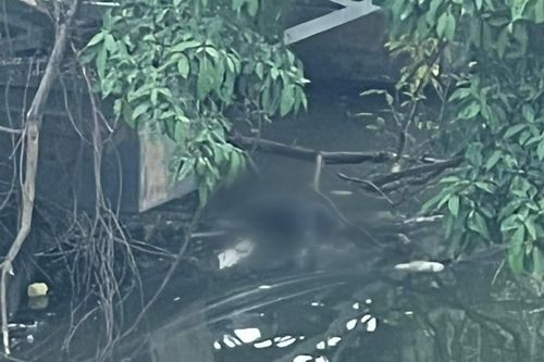 Đi ngang bờ sông, người dân kinh hãi với cảnh tượng trước mắt