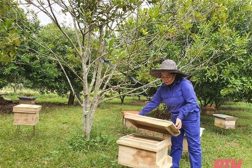 Thạch Thành phát huy lợi thế phát triển kinh tế nông nghiệp