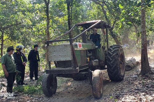Xác định nghi phạm thứ 5 trong vụ chặt phá rừng ở huyện Xuân Lộc