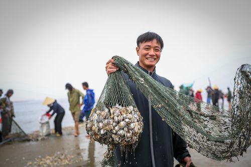 Ngư dân Hà Tĩnh ngâm mình dưới dòng nước lạnh vớt sò lông