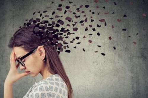 Sự hấp dẫn của kí ức