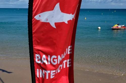 Cá mập tấn công, giết chết du khách Australia ở New Caledonia