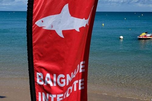 Du khách thiệt mạng vì cá mập tấn công ngoài khơi New Caledonia